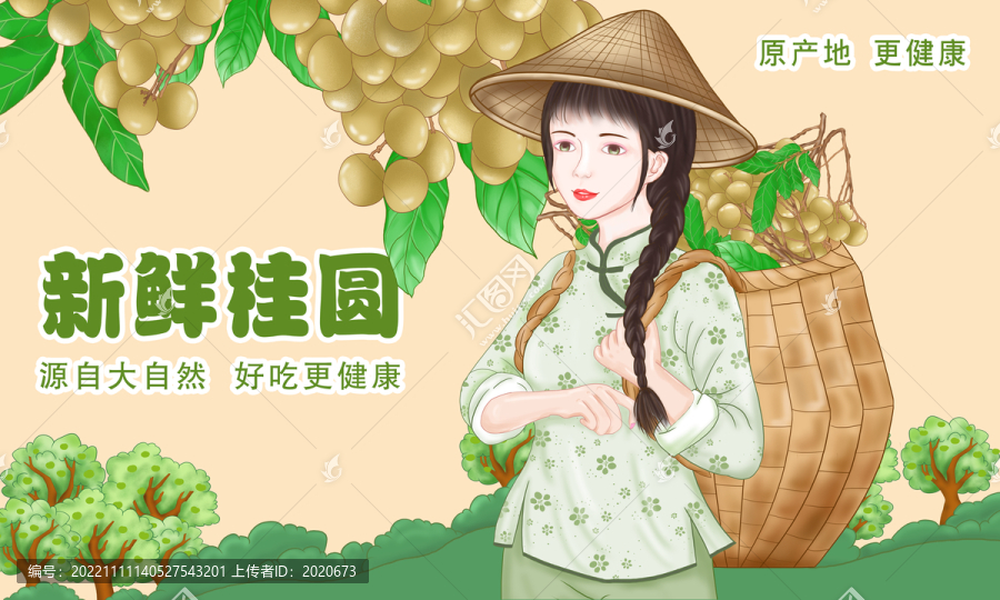 桂圓包裝設(shè)計(jì)