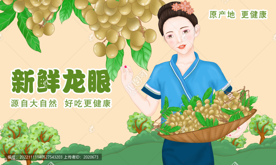 龍眼海報(bào)插畫