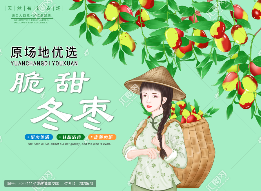 冬棗禮盒包裝插畫