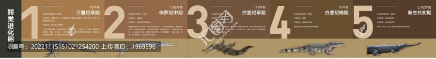 矢量可編輯進化圖表