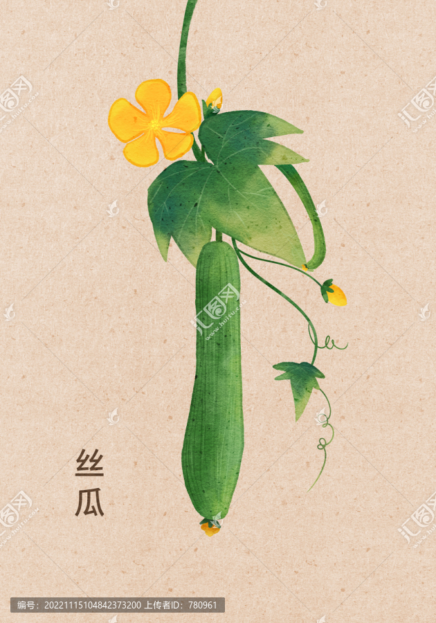 絲瓜