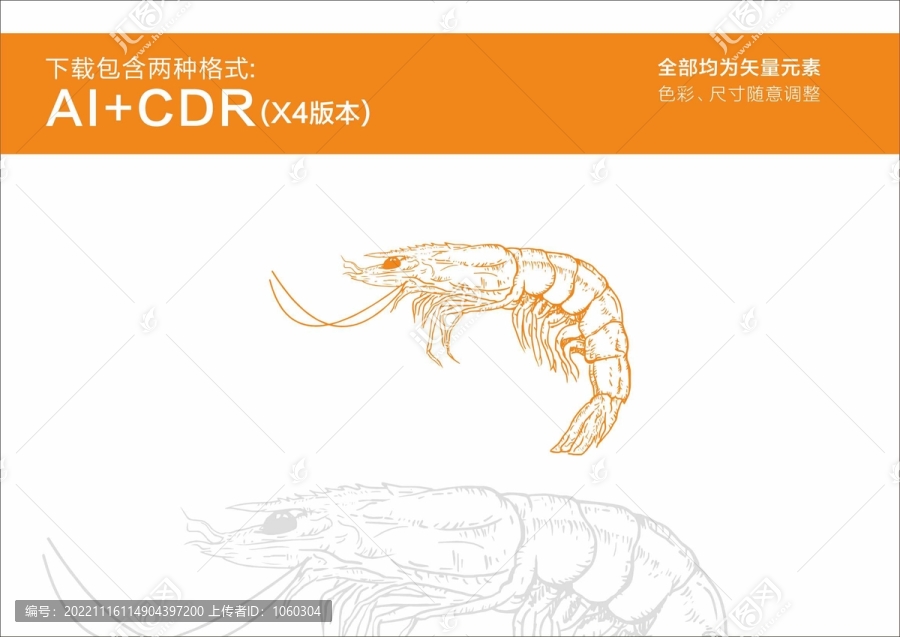 虾手绘虾矢量虾插画