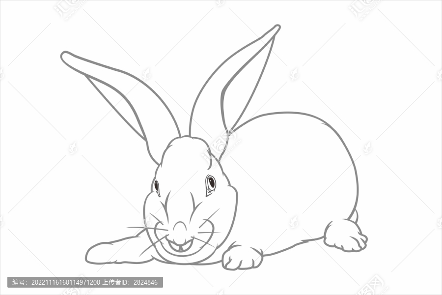 線描長(zhǎng)耳白兔