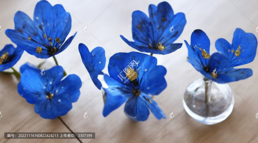 藍(lán)色花瓣