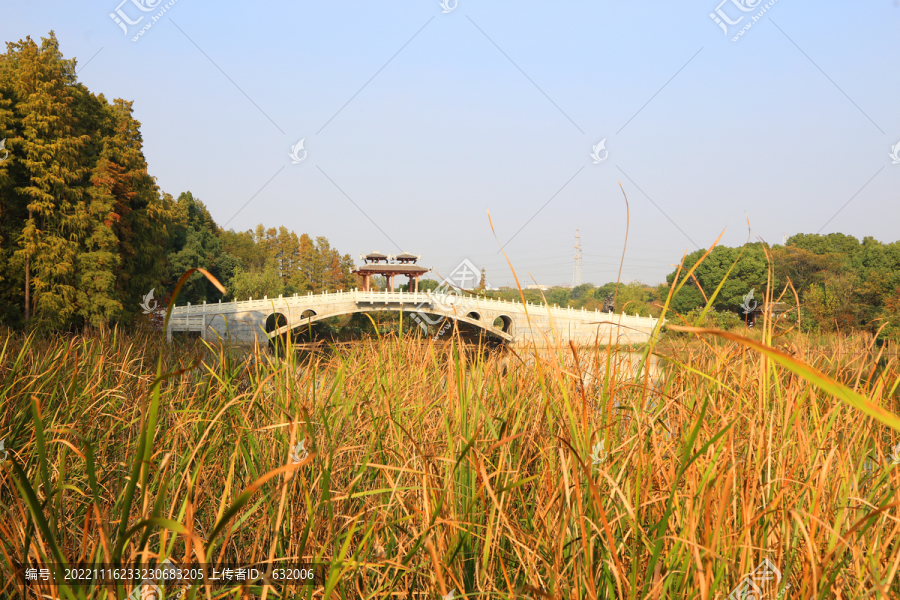 武汉东湖落雁景区