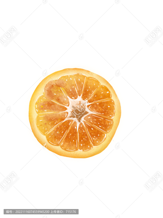 橙子插畫