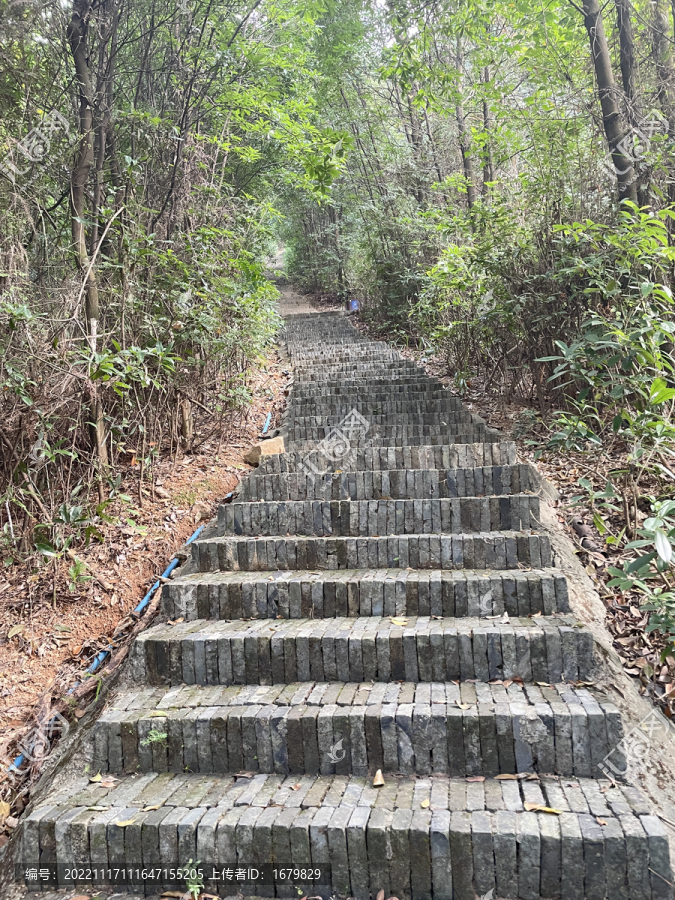 青砖台阶高清特写