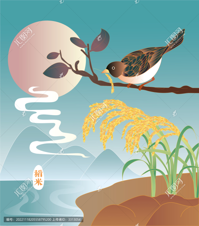 水稻插畫