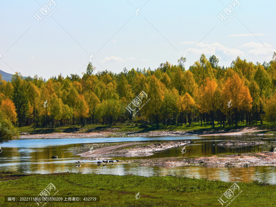 秋天多彩森林河流