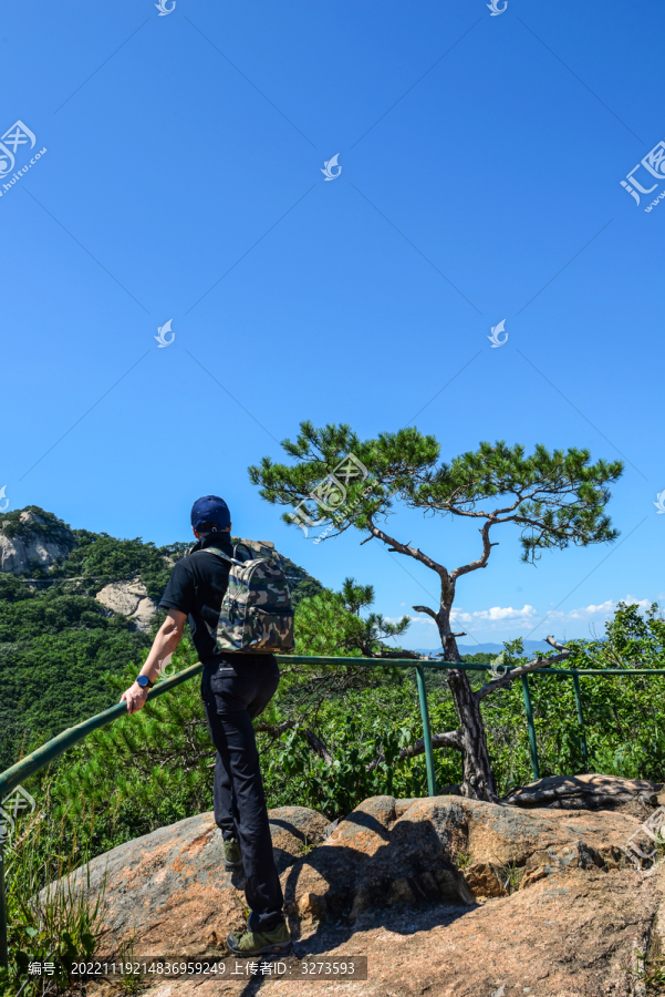 登高望远