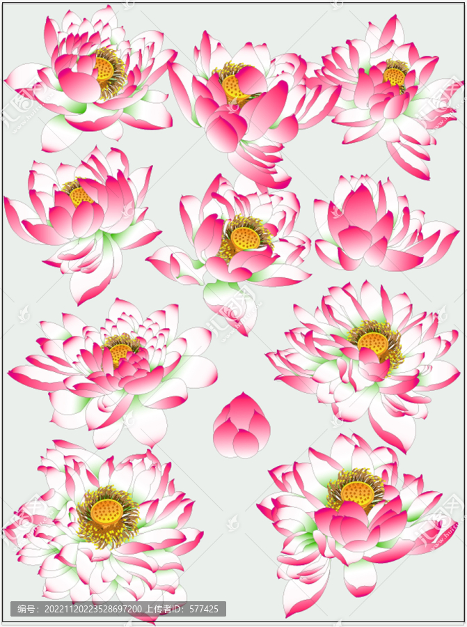 莲花花朵鼠绘矢量图