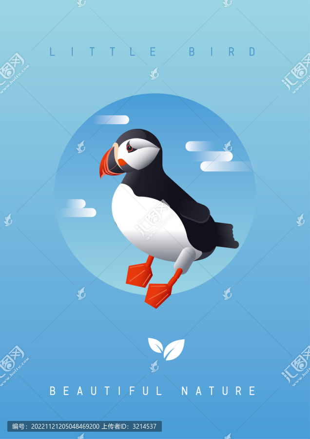 鳥類插畫北極海鸚漸變