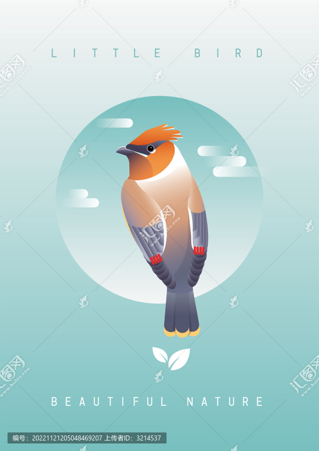 鳥類插畫雪松太平鳥漸變