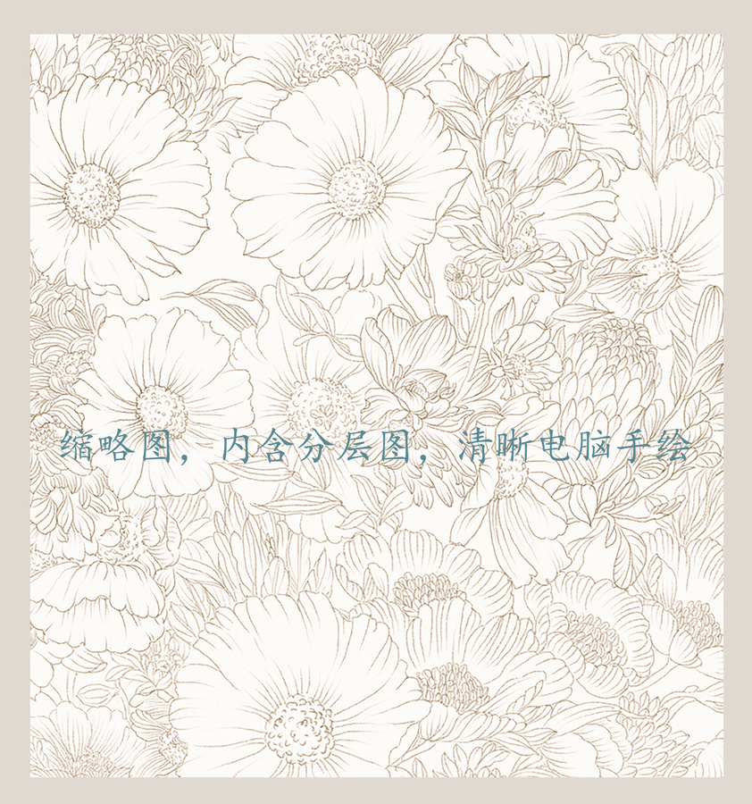 小雛菊線描