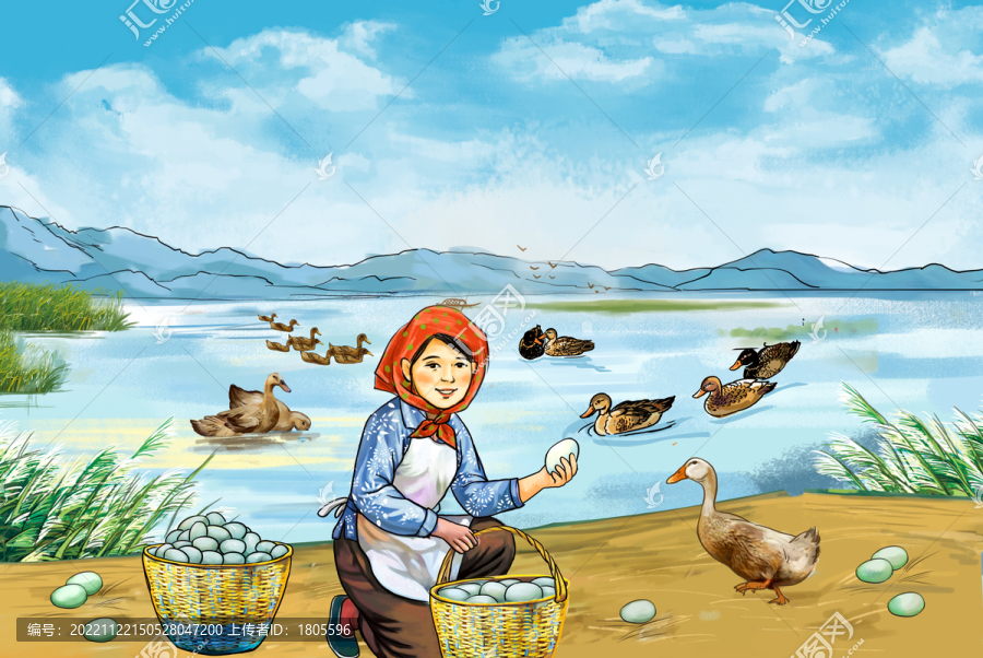 海鴨蛋插畫設(shè)計