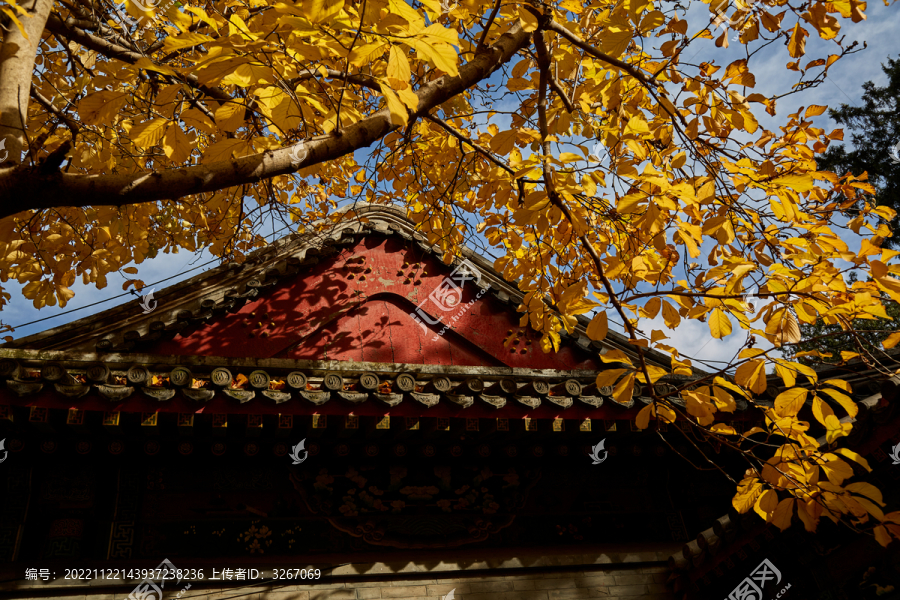 北京市香山公园秋色