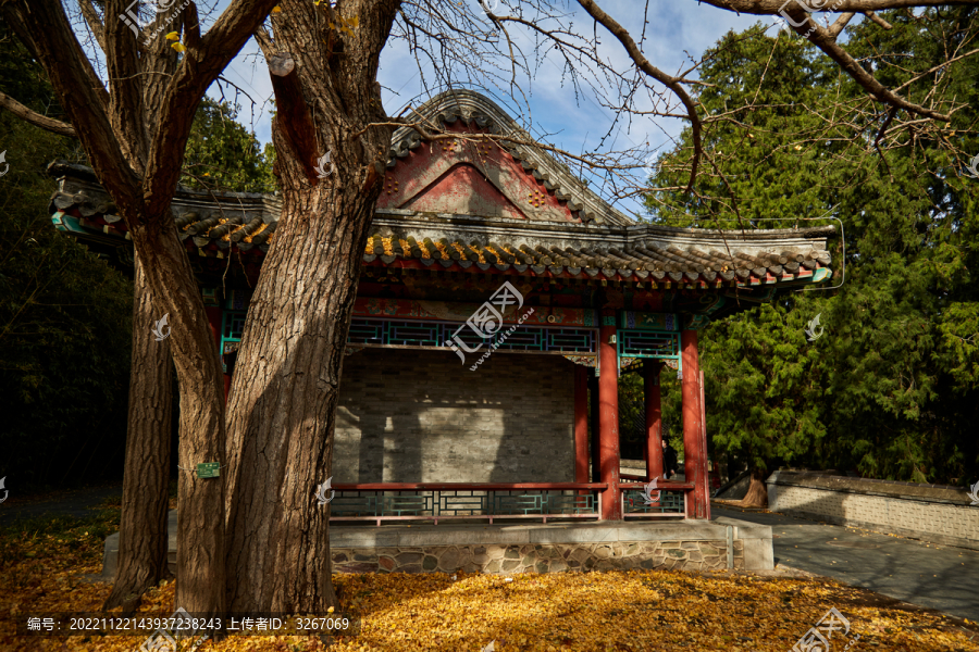 北京市香山公园秋色