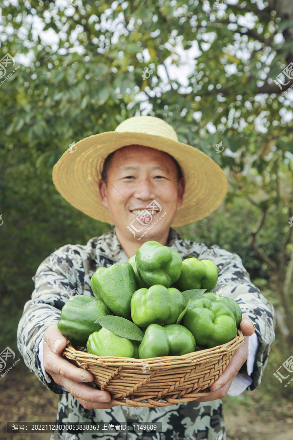 手里拿着新鲜青圆椒