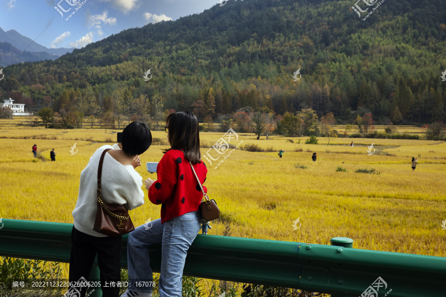 塔川秋色