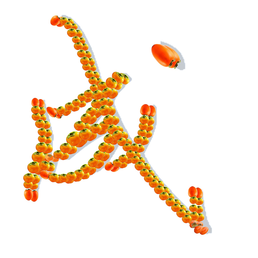 成字藝術(shù)設(shè)計