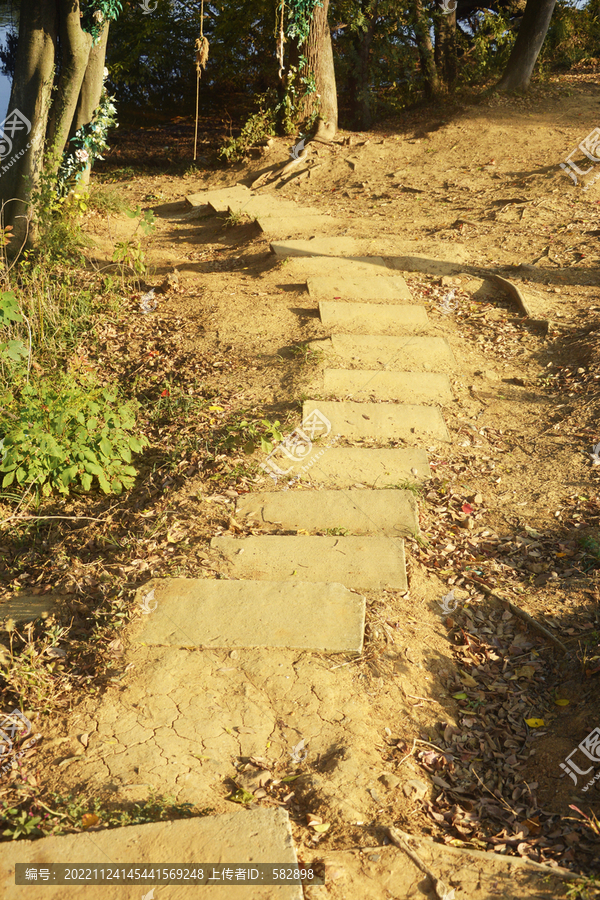 阳光石阶小路