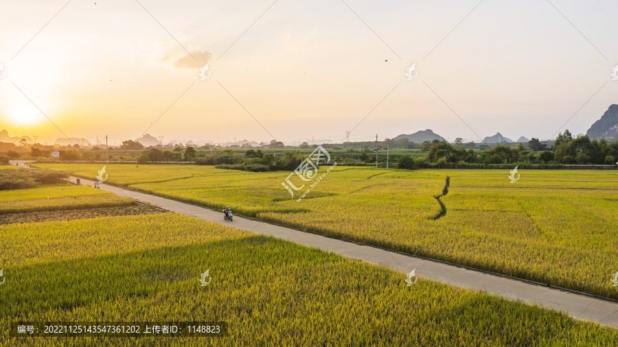 秋季田园