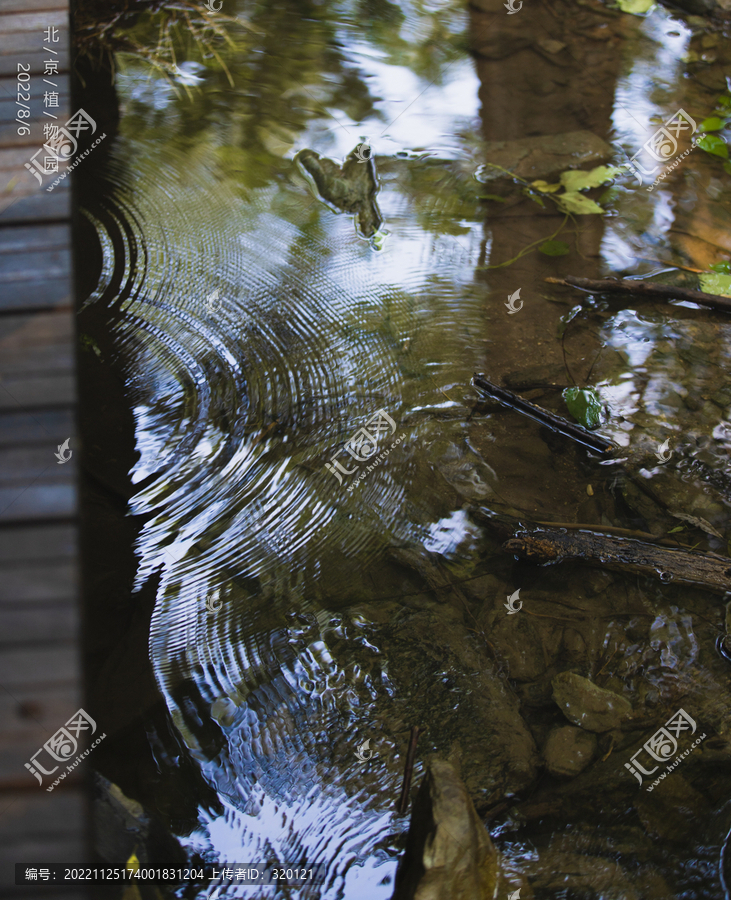 水面波纹