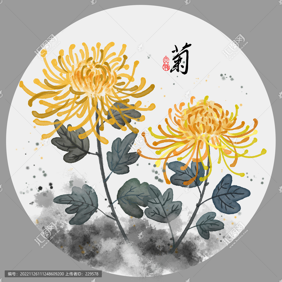 菊花圖