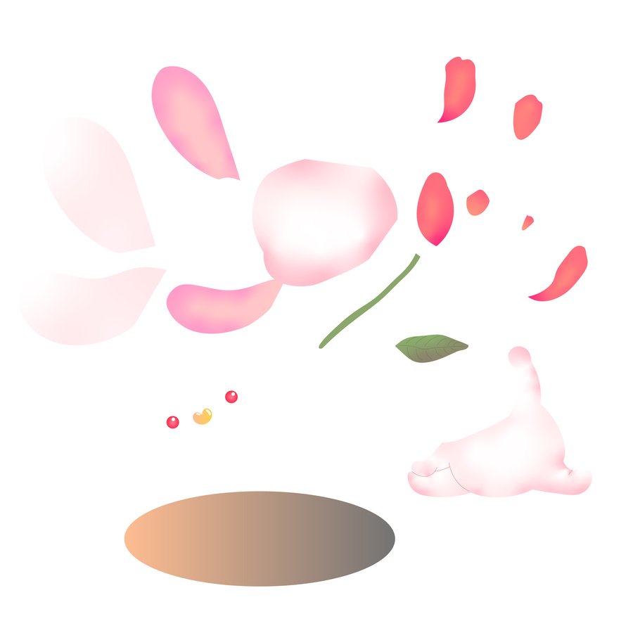 兔子郁金香