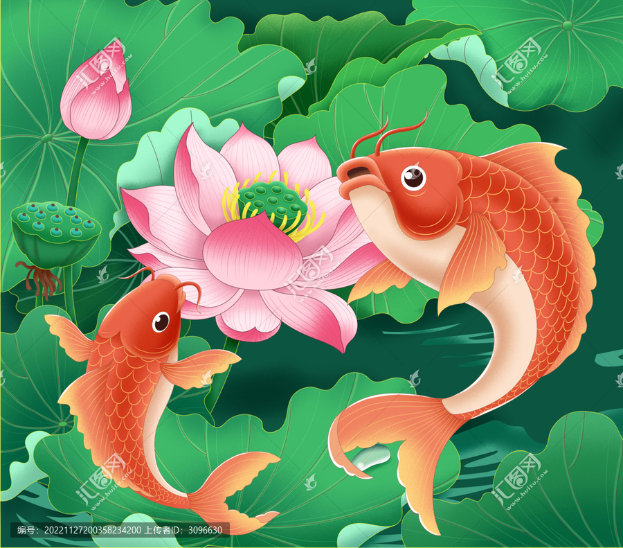 荷花鯉魚插畫