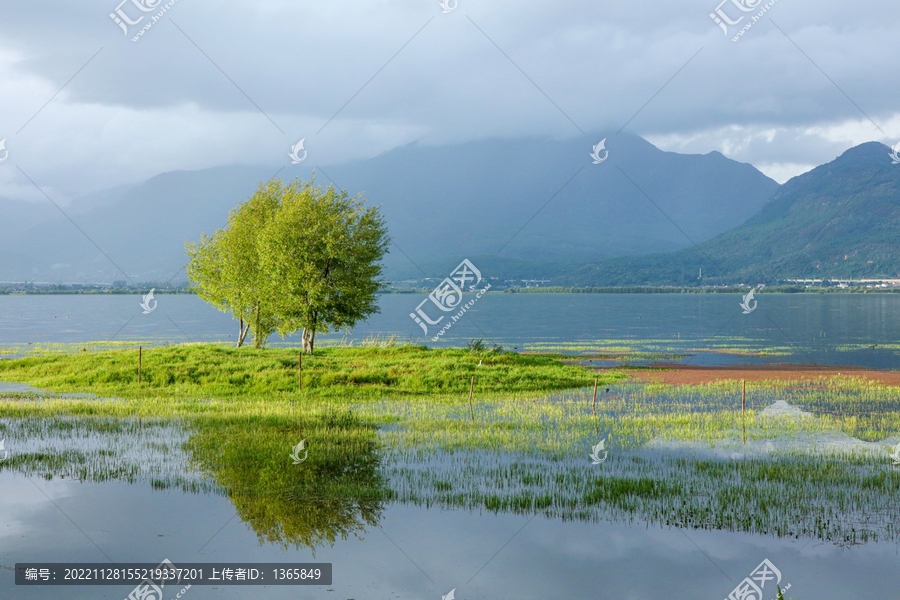 丽江拉市海湿地公园