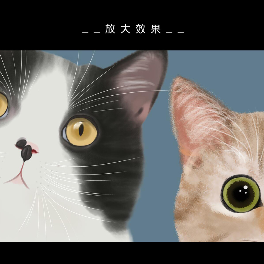可愛(ài)卡通三只貓咪裝飾畫(huà)