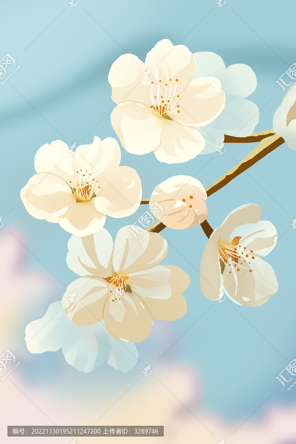 櫻花