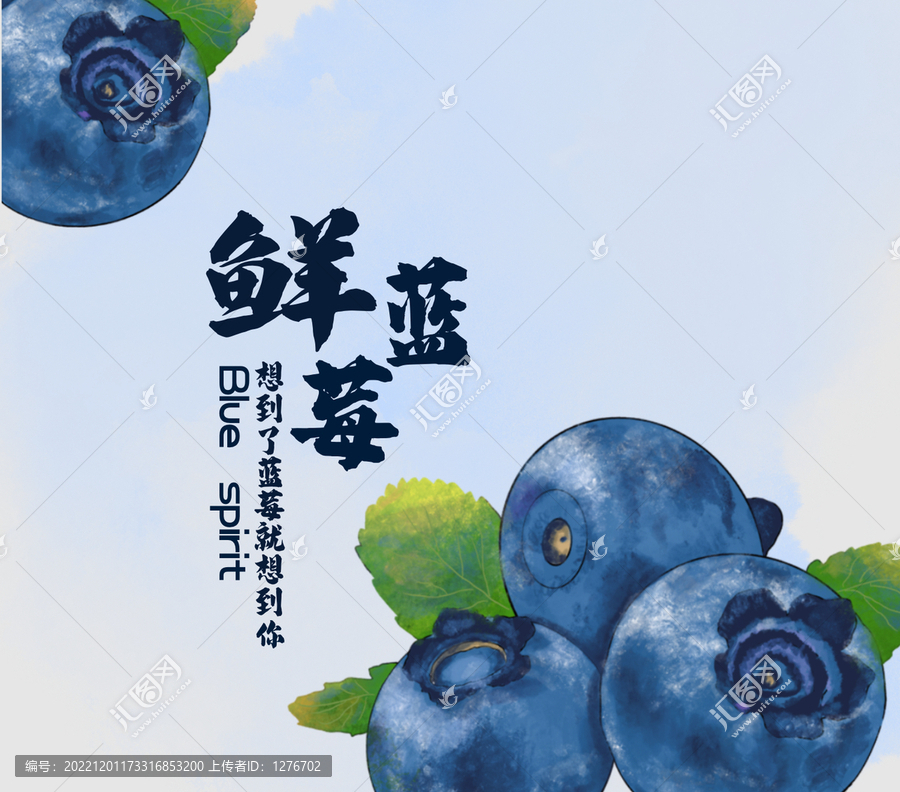 藍(lán)莓包裝