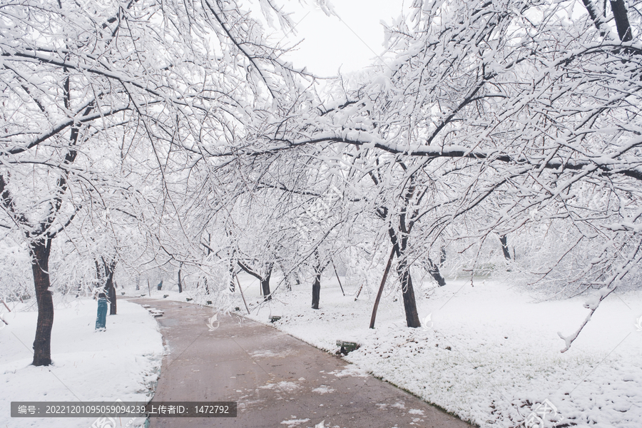 武汉东湖磨山风景区冬季雪景