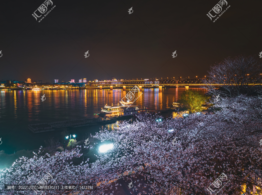 武汉晴川阁春季樱花风光