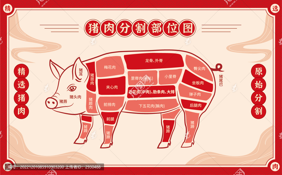 豬肉分割圖