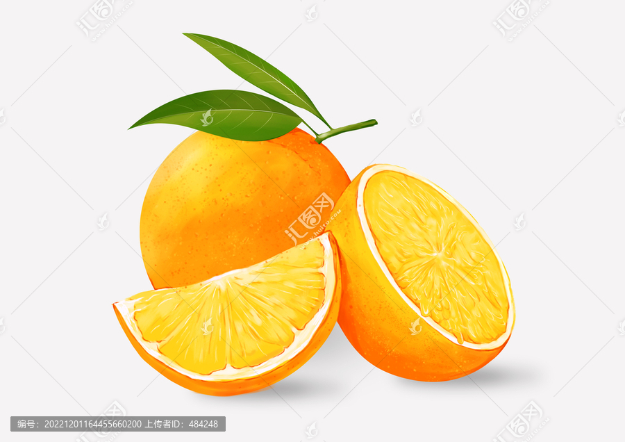 橙子插畫