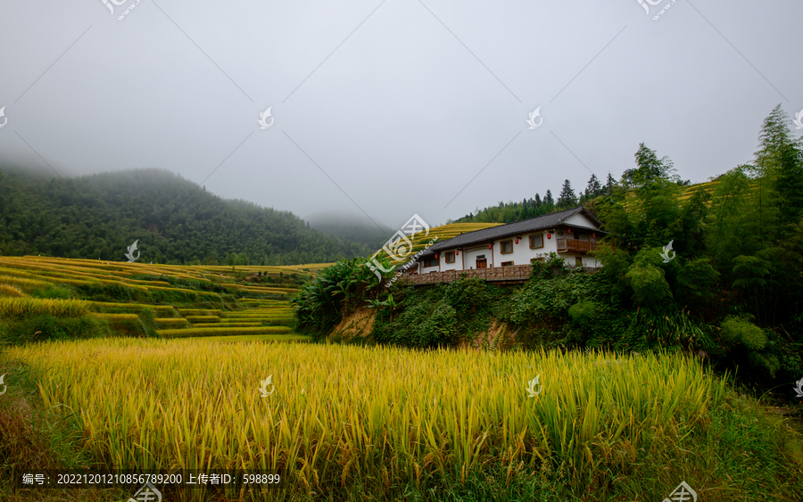 上堡梯田民居