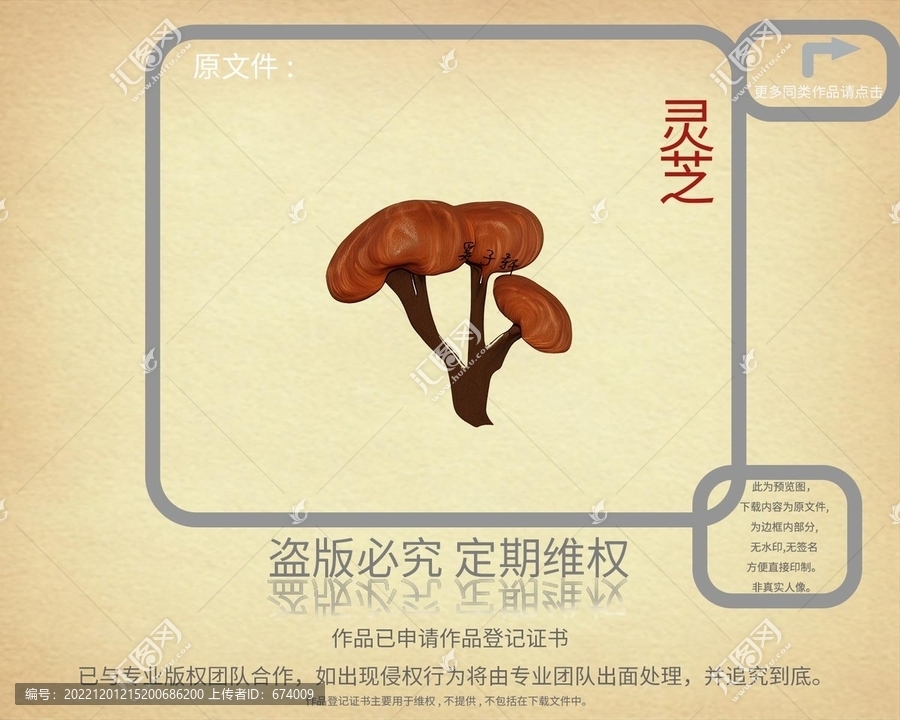 靈芝