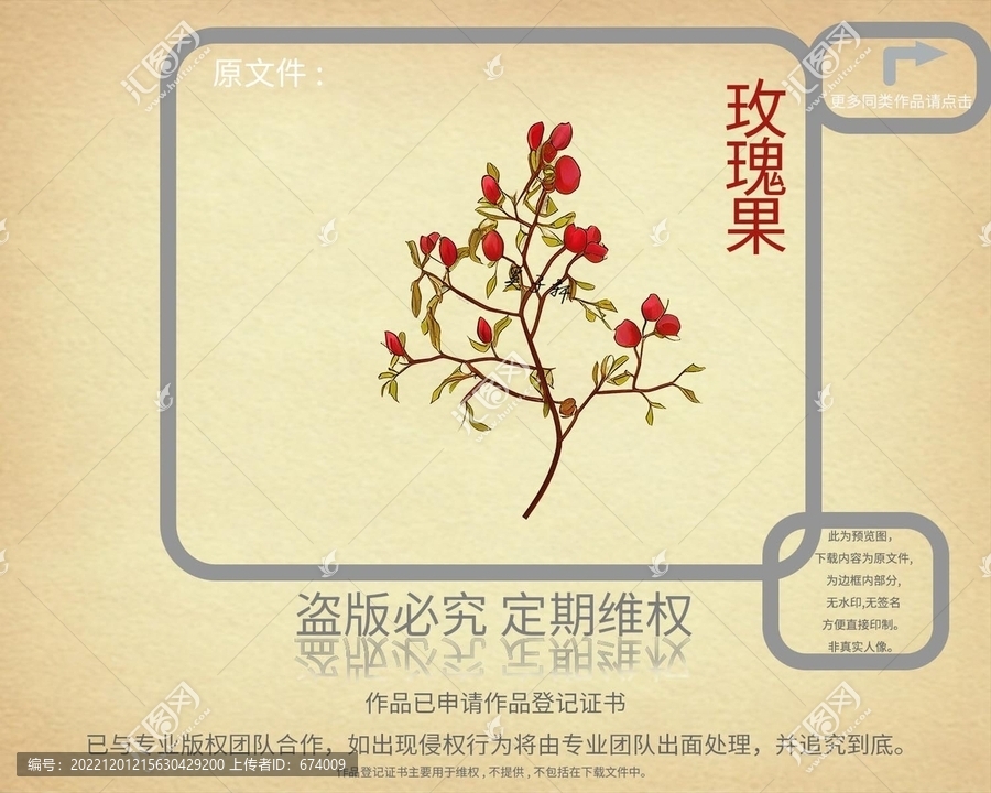 玫瑰果