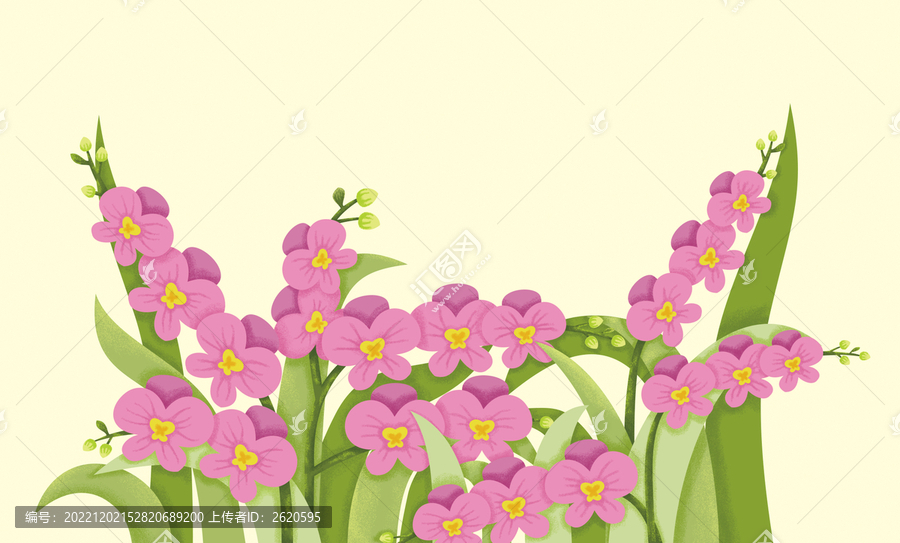 蝴蝶花