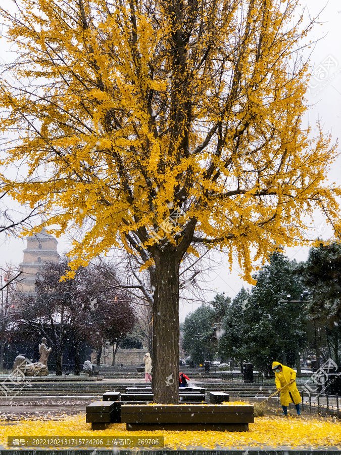 2022大雁塔初雪