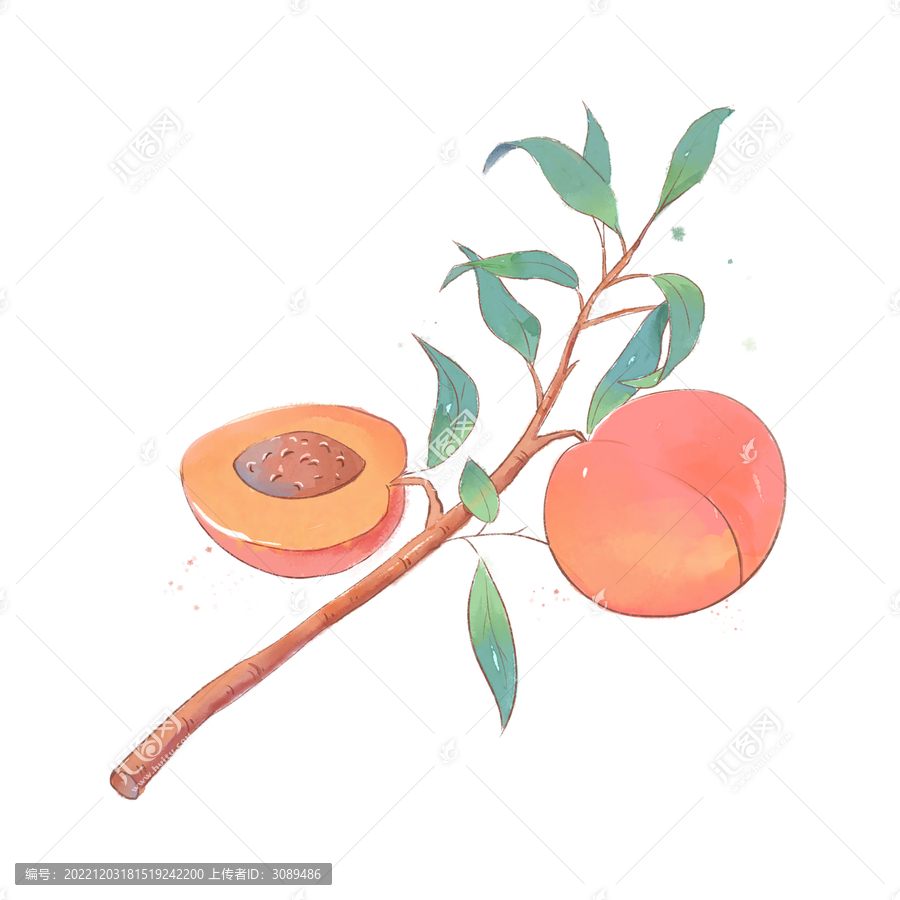 水蜜桃