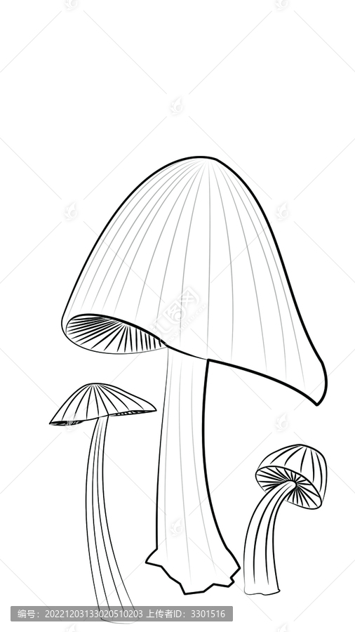 蘑菇插畫