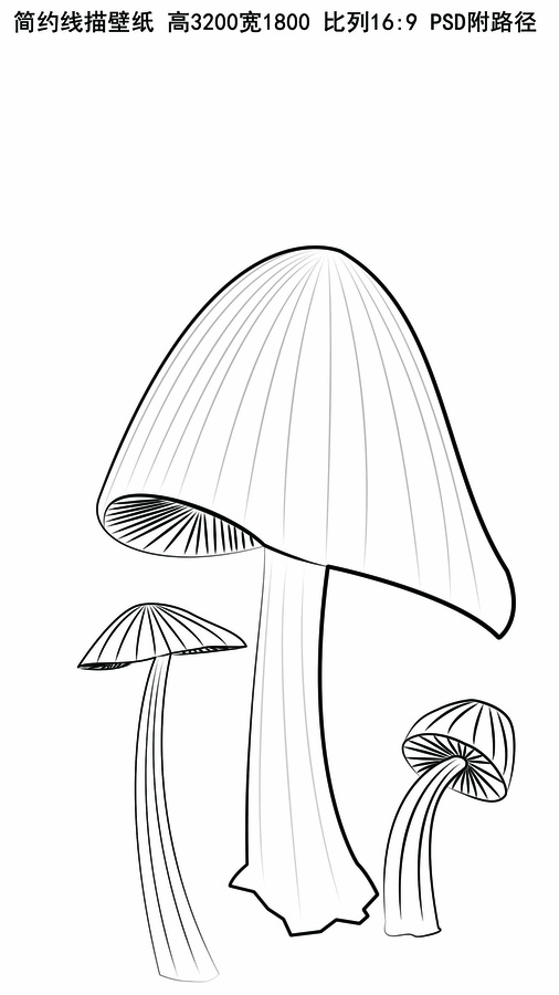 蘑菇插畫