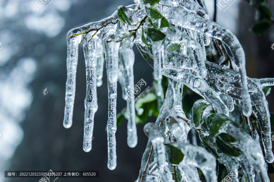 冬季冰雪森林自然景观