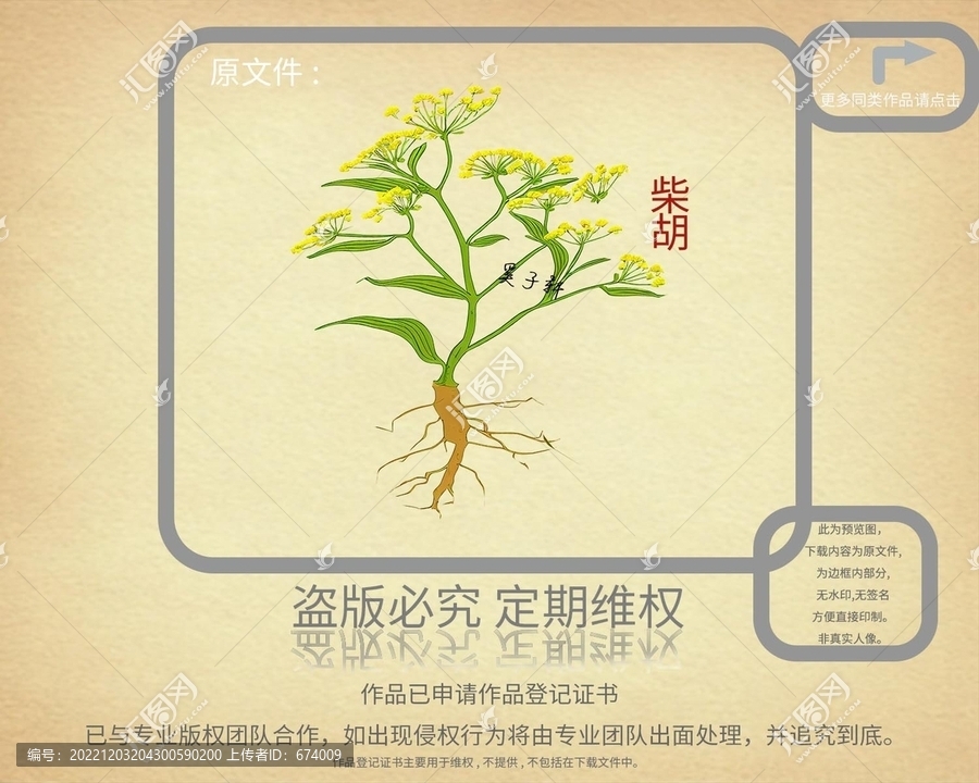 柴胡
