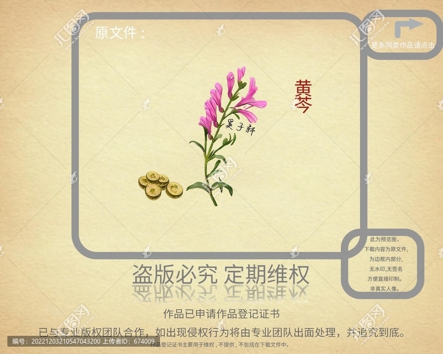 黃芩