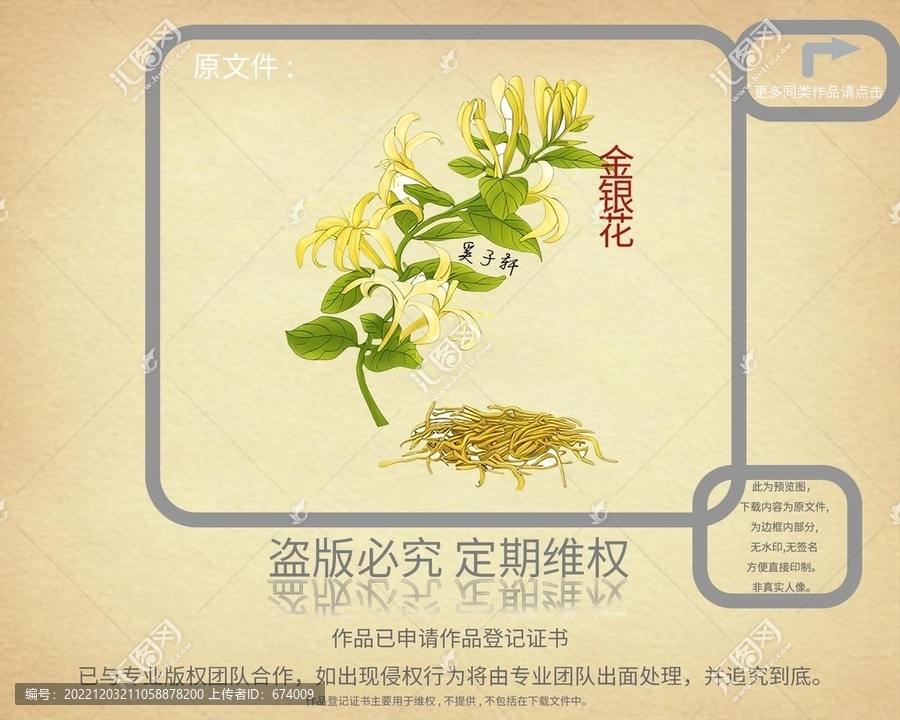 金銀花
